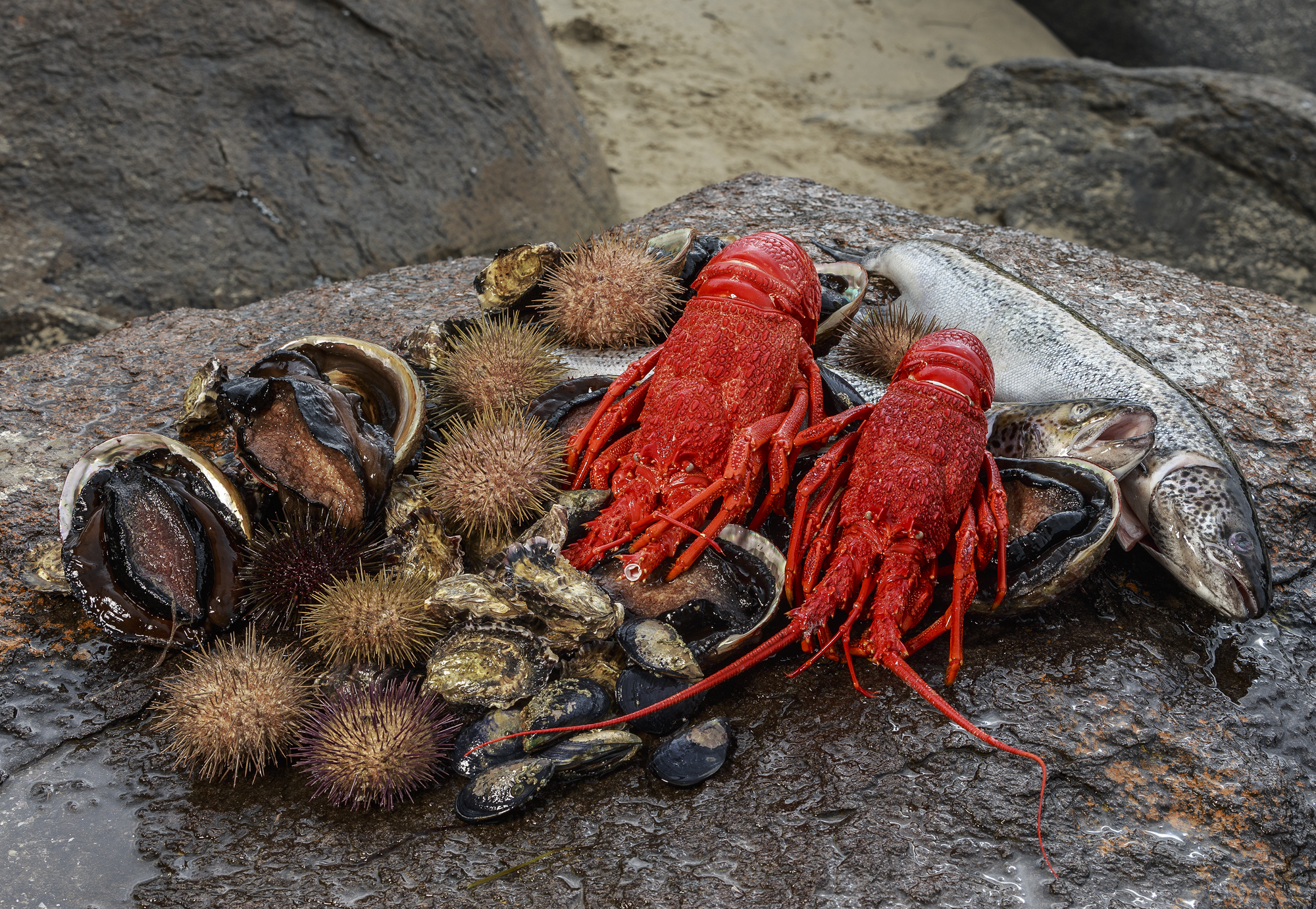 Tasmanian Seafood Seduction