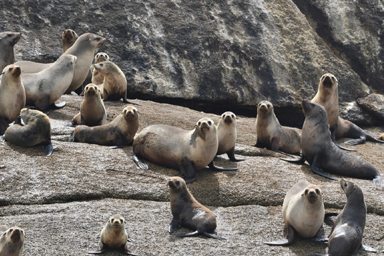 Wineglass Bay Cruises - Sky Lounge (Adults Only)