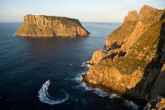 Tasman Island Cruises Full Day Tour from Hobart + Devil Unzoo