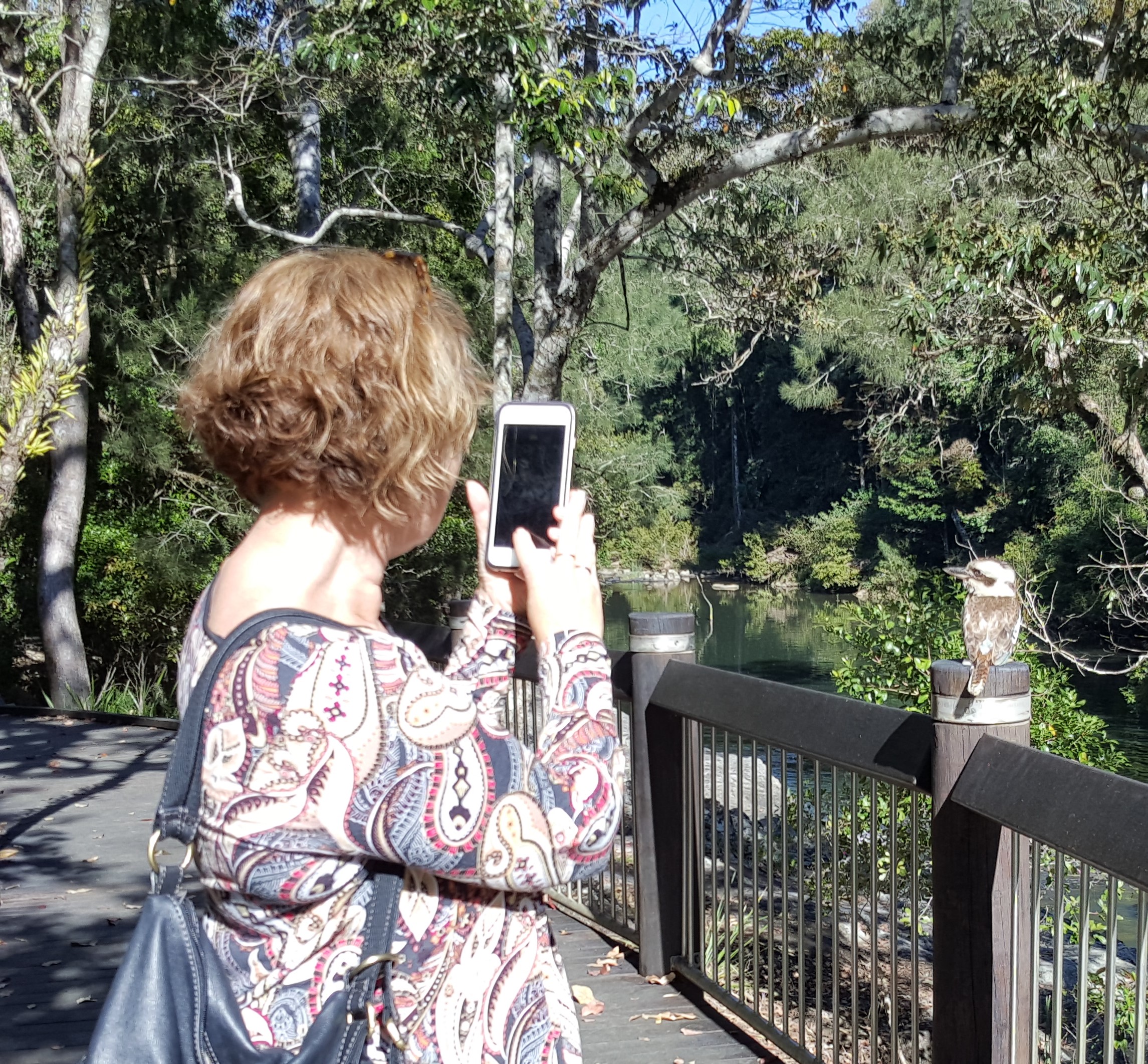 Personalised Private Platypus Land Tour