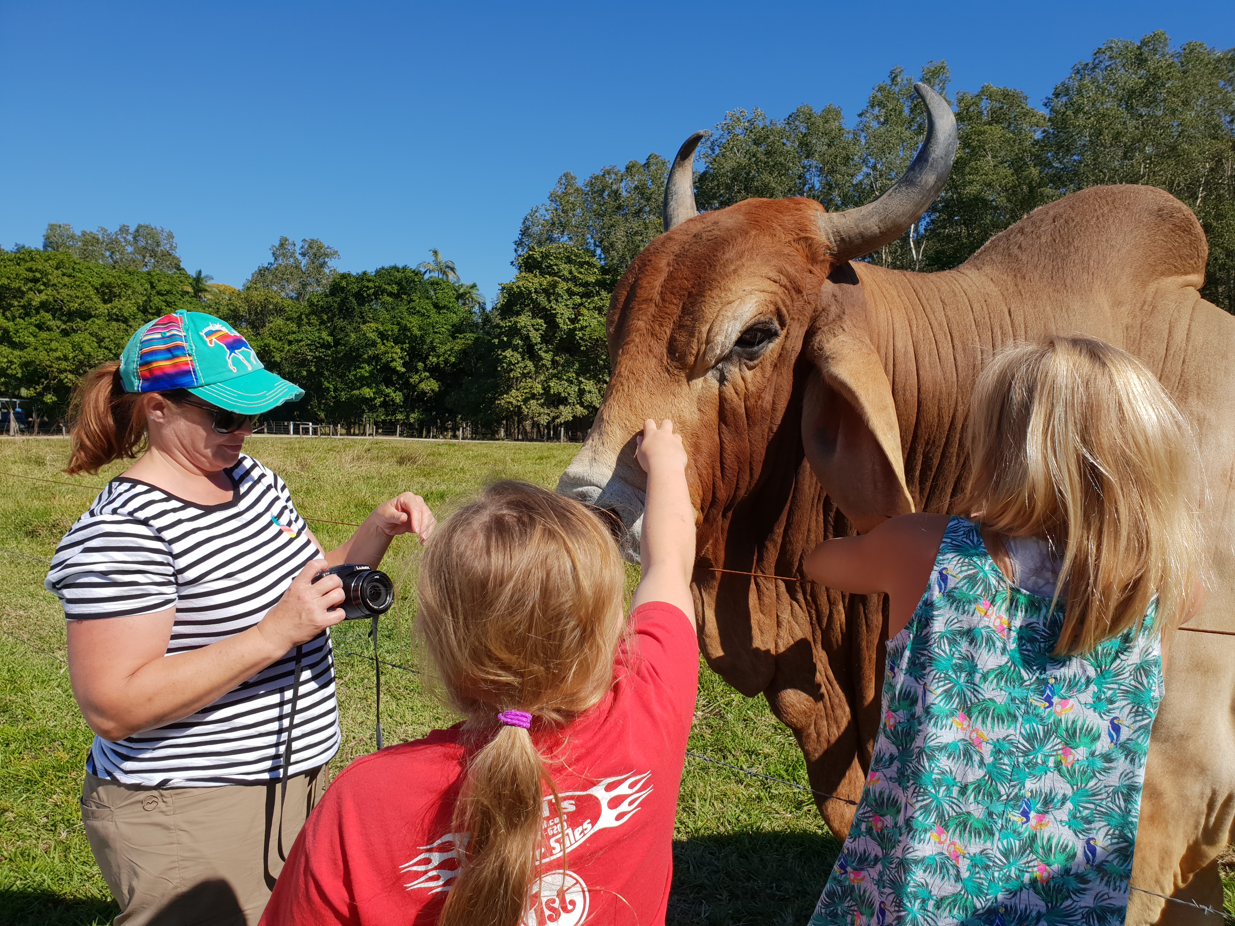 Personalised Private Platypus Land Tour