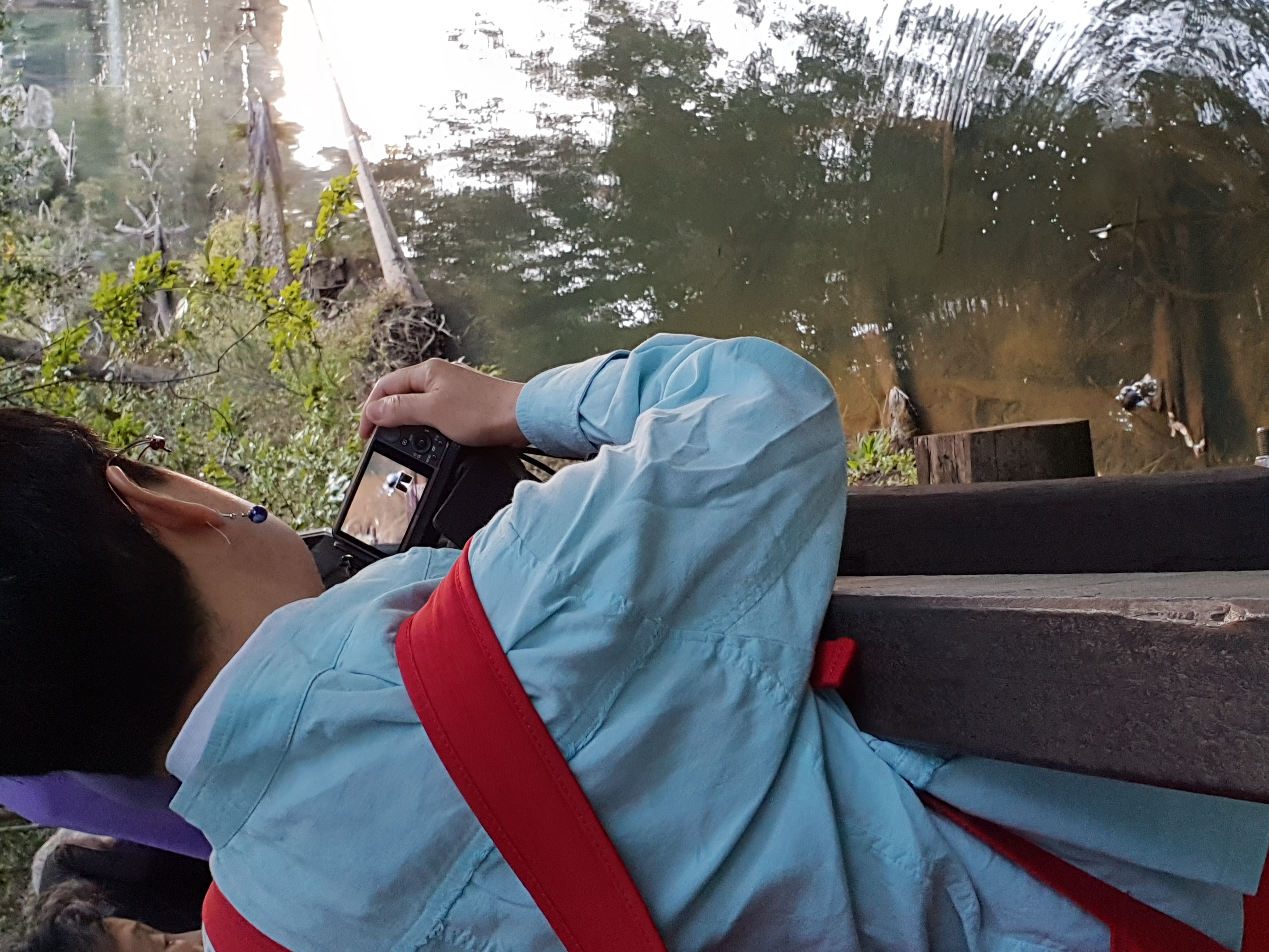 Personalised Private Platypus Land Tour