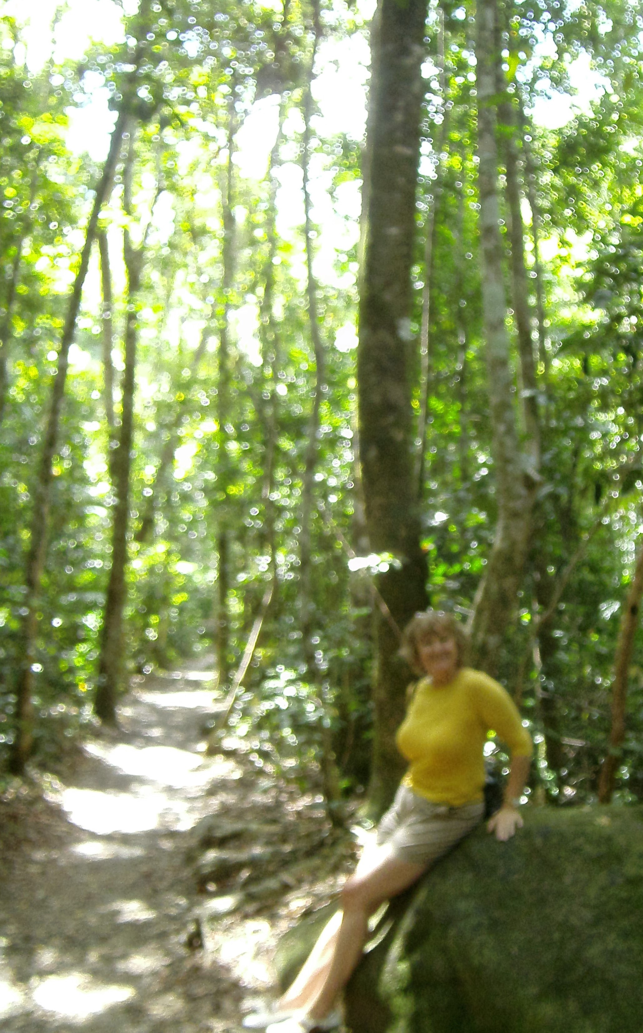 Personalised Private Platypus Land Tour