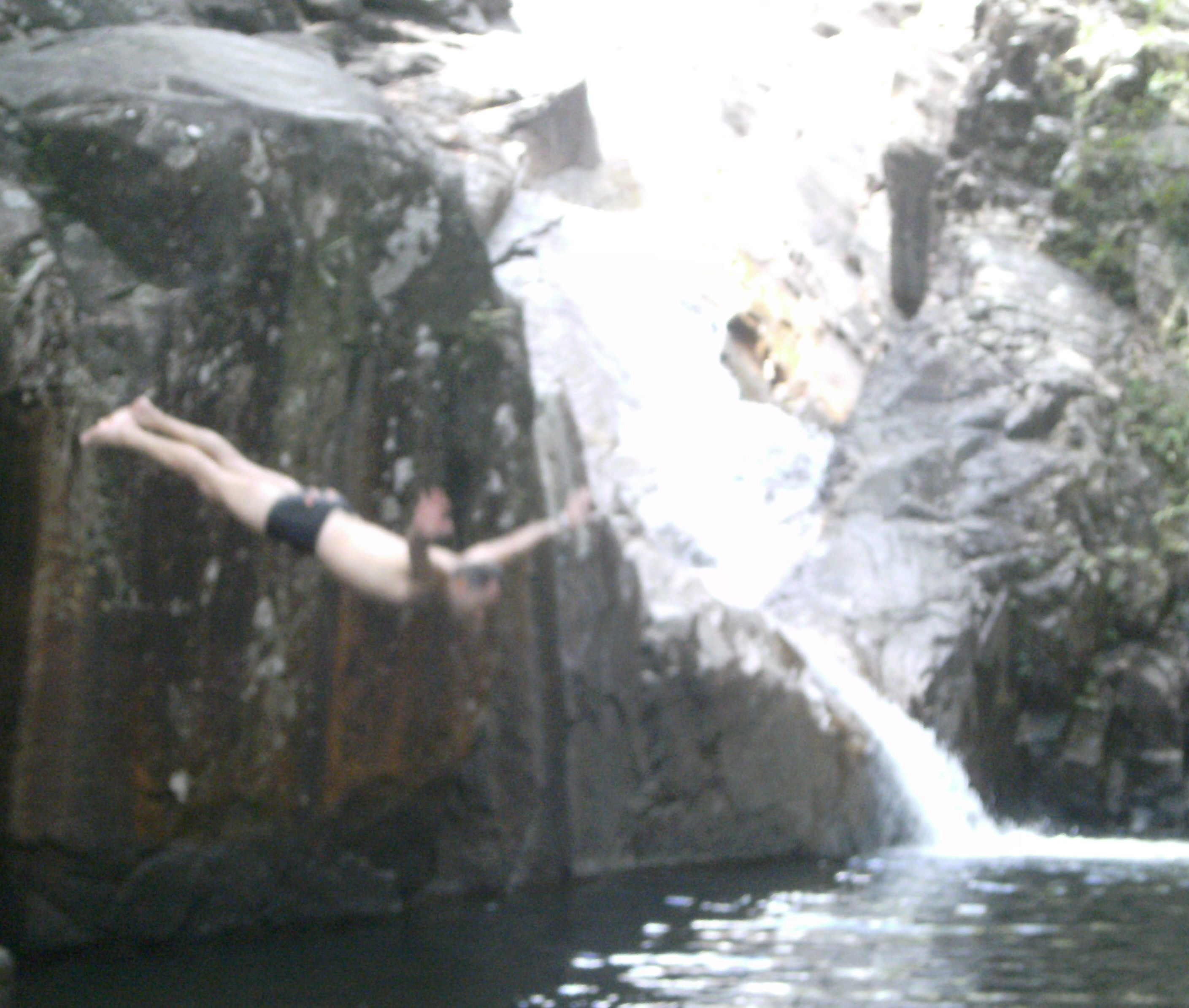 Personalised Private Platypus Land Tour