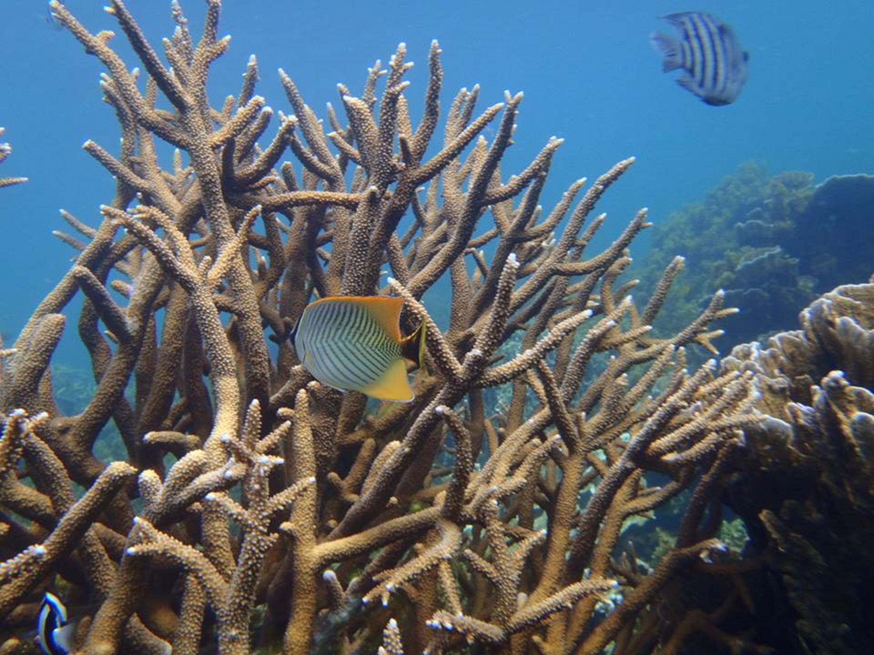 Perth to Exmouth Adventure (return)