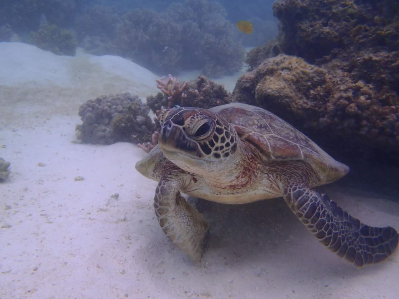 Perth to Exmouth Adventure  (1-way)