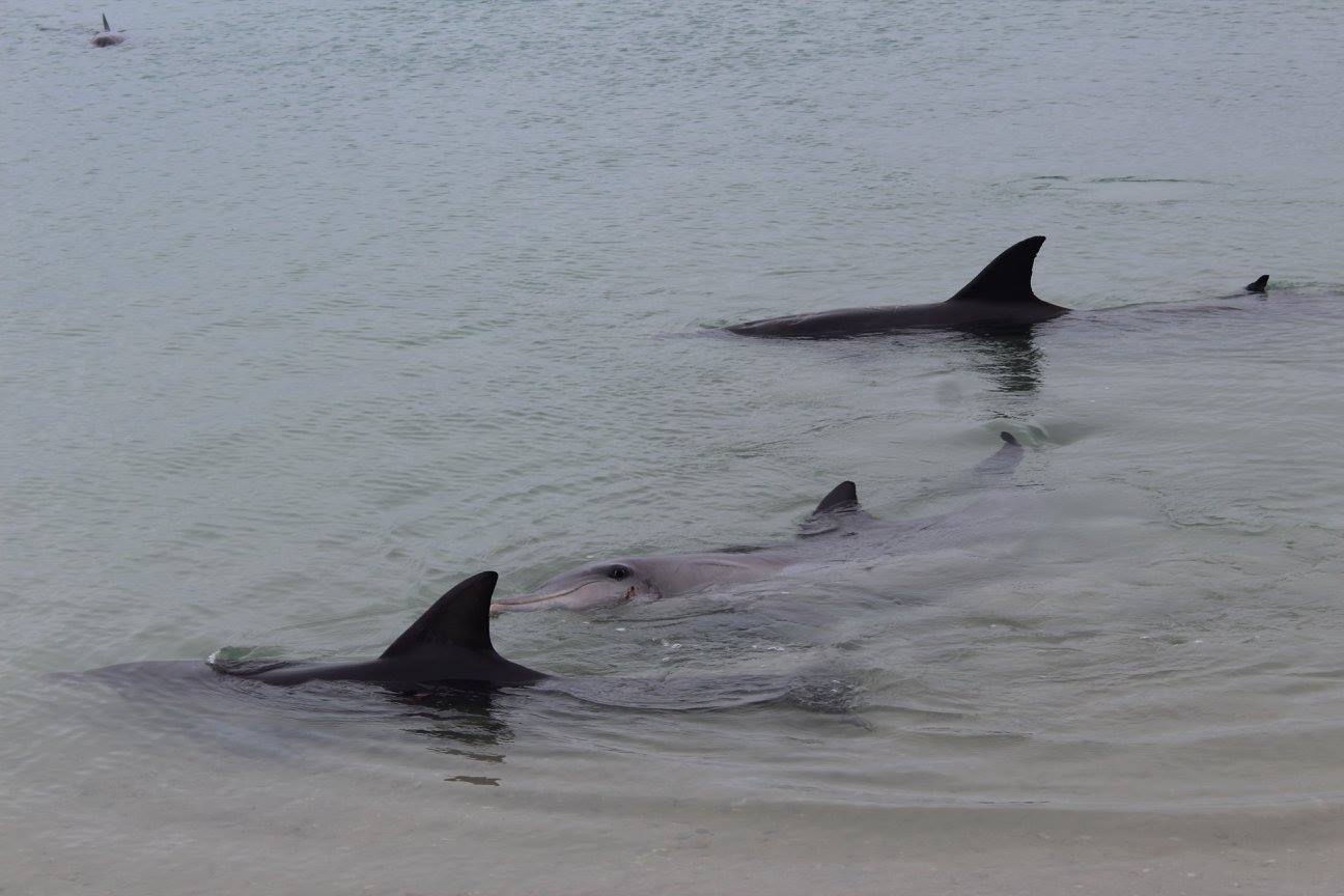 Perth to Exmouth Adventure (return)