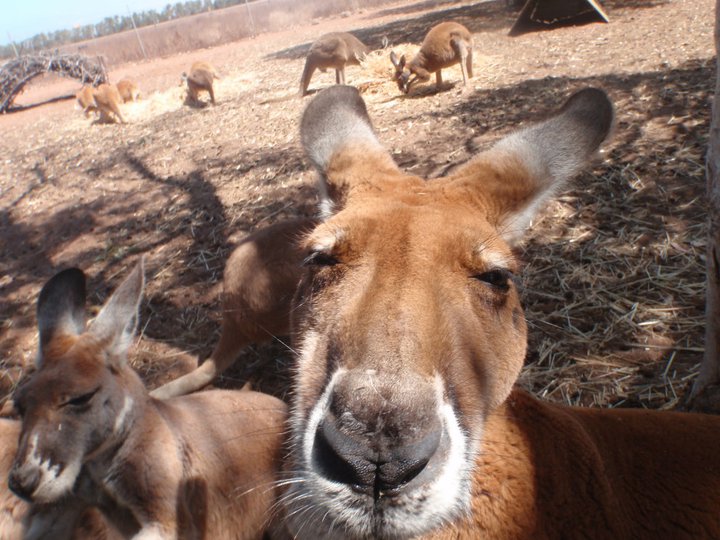 Perth to Exmouth Adventure (return)