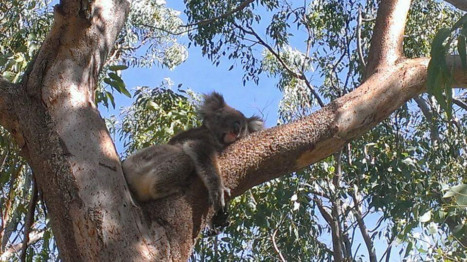 Perth to Exmouth Adventure (return)