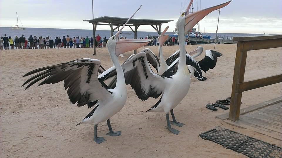 Perth to Exmouth Adventure (return)