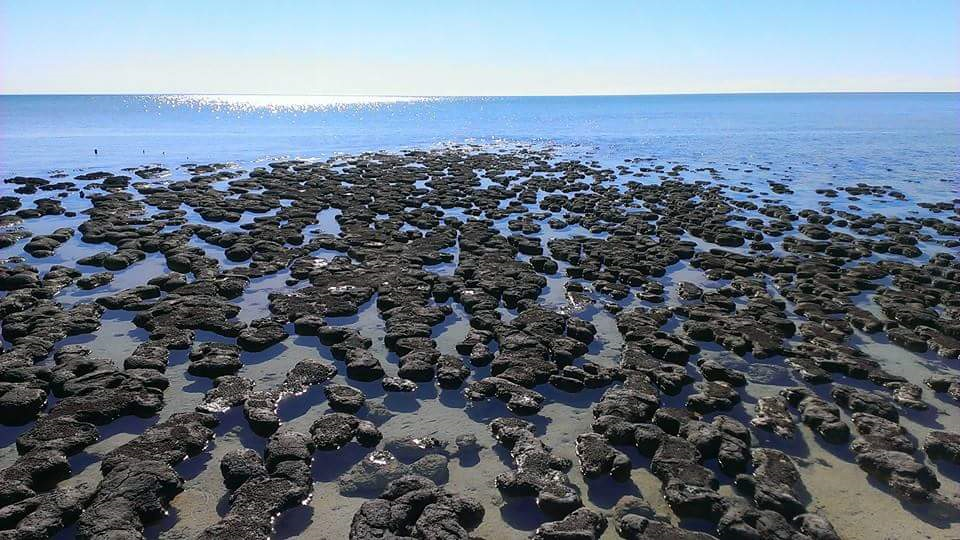 Perth to Exmouth Adventure  (1-way)