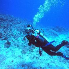Learn to Scuba dive (Open Water) 