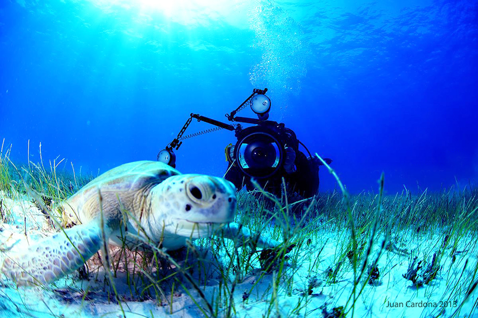 SDI Underwater Photographer Course