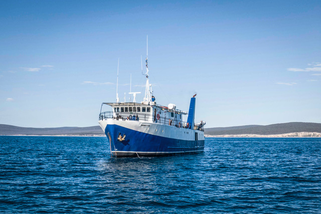 Great White Shark Expedition (5 Night)