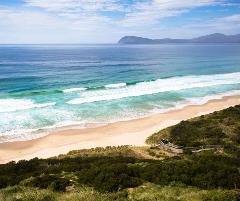 Bruny Island Explorer 