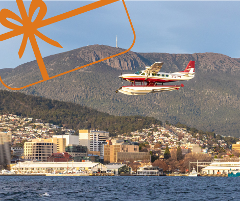 City Scenic Gift Voucher