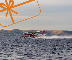 Seaplane Taster Gift Voucher 