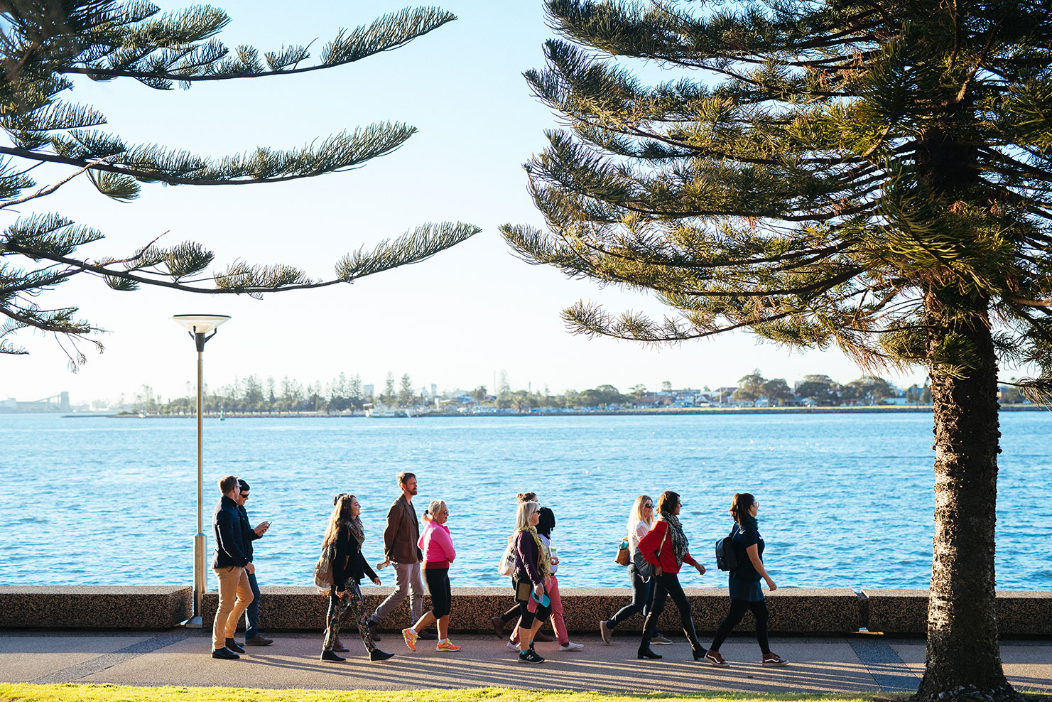 Seascapes to Laneways Walk