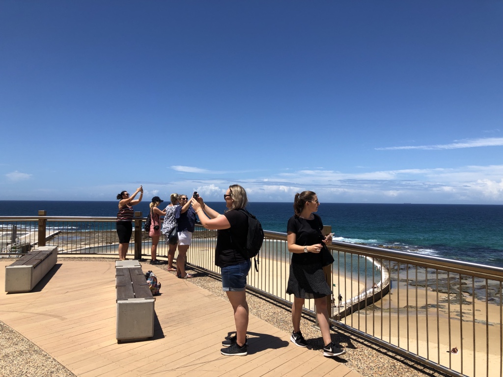 Seascapes to Laneways Walk