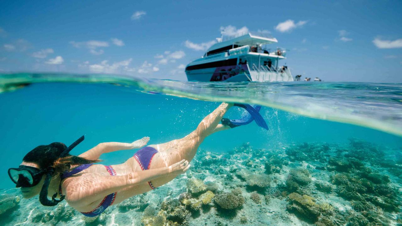 3-Day Great Barrier Reef Tour - Ex Brisbane