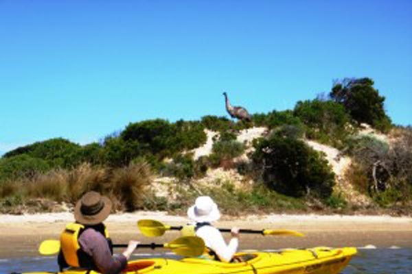 Canoe the Coorong