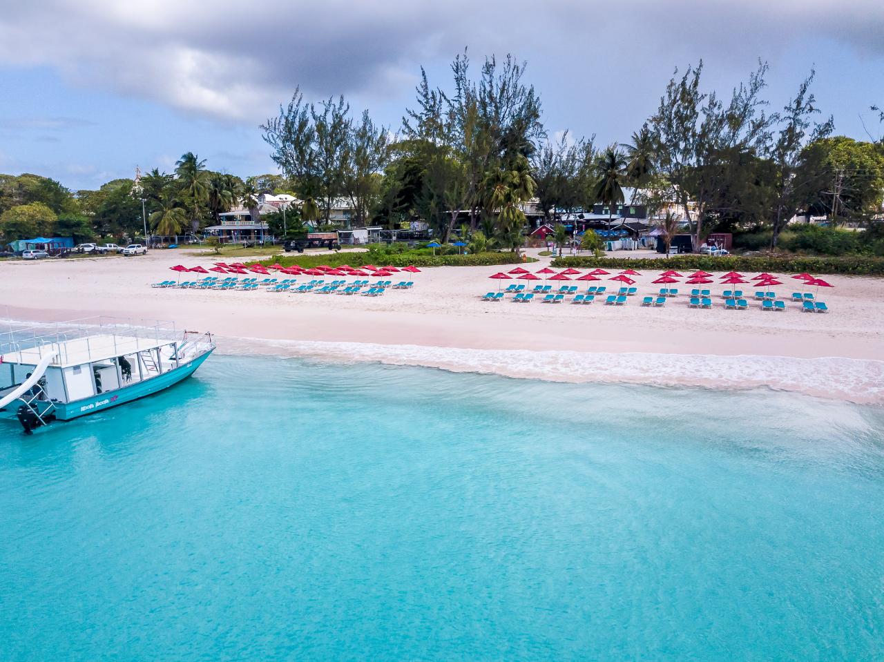 Beach Lounger & Turtle Snorkel Tour Combo