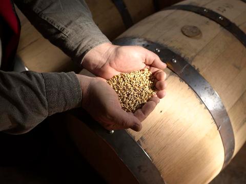 Whiskey Tour Hobart – includes tasting and lunch Tasmania Australia