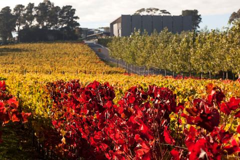 wine tour tasmania hobart