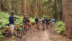 Bouddi, Soul of the Forest Ride