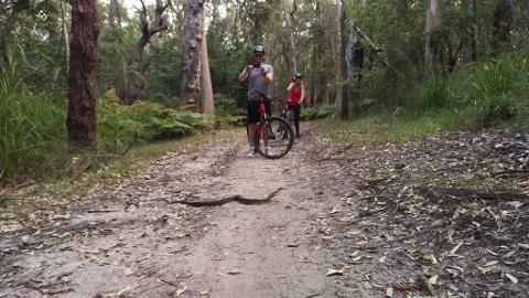 central coast mountain bike trails