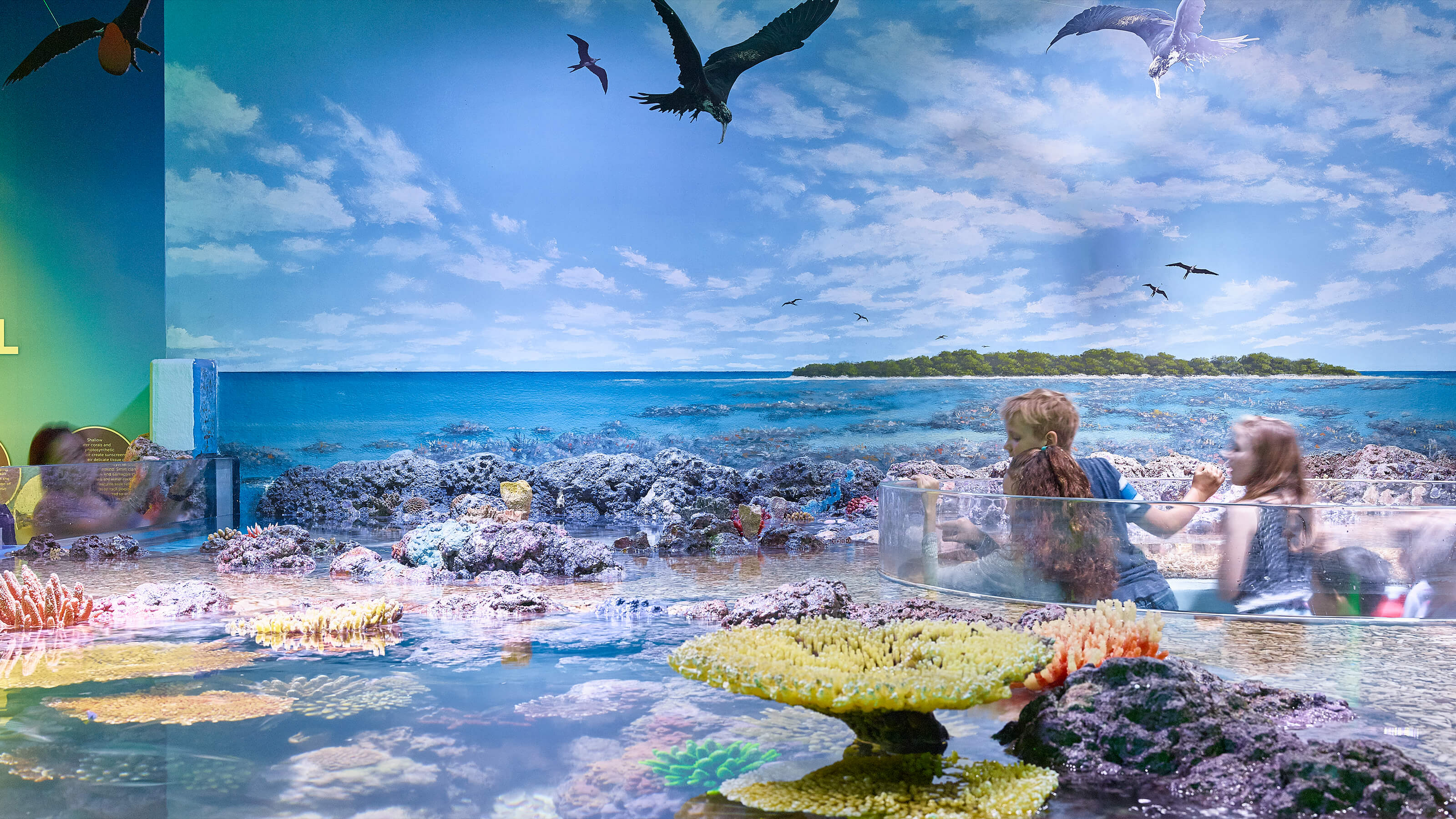 Cairns Aquarium Day Pass