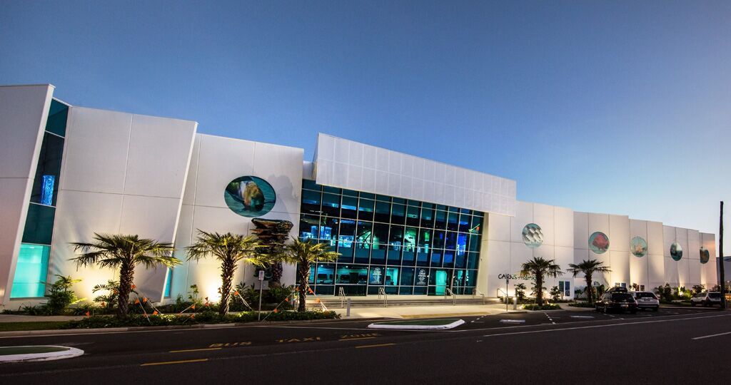 Cairns Aquarium Day Pass