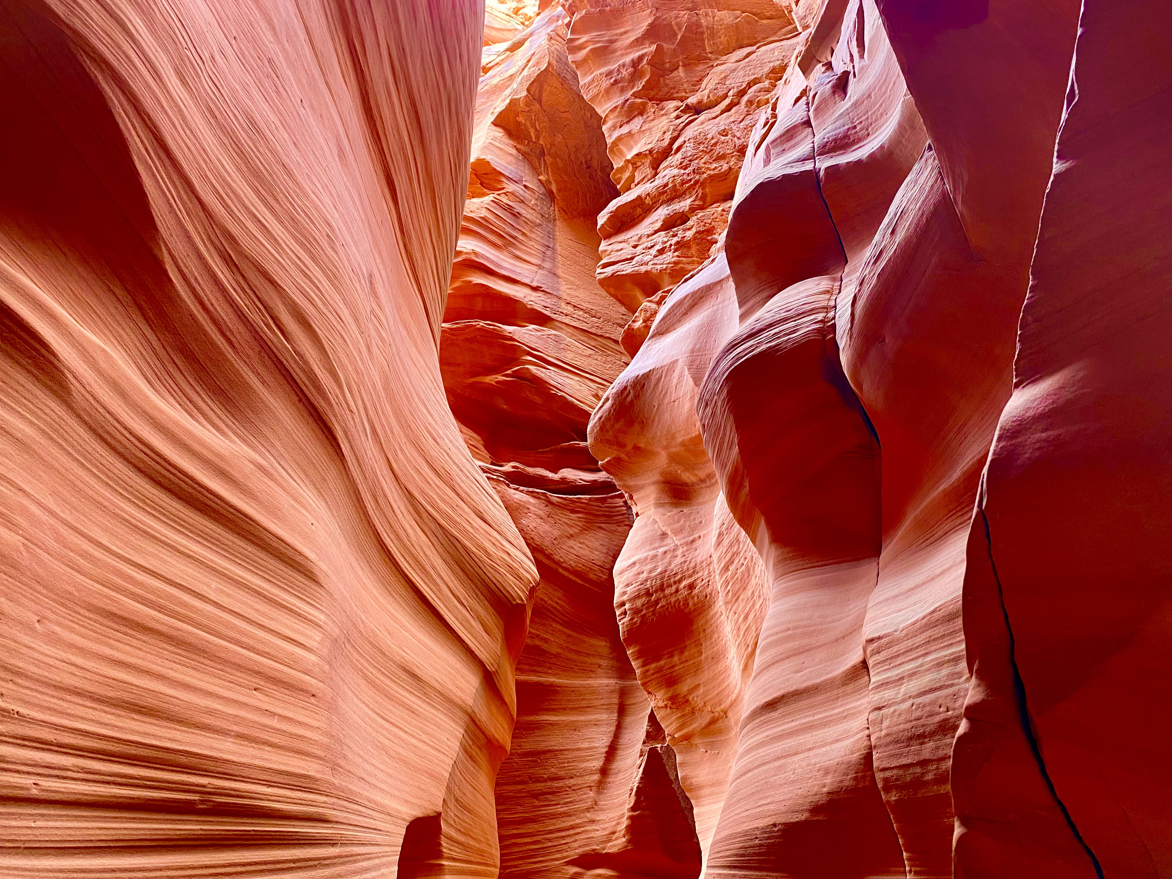 Antelope Canyon X & Horseshoe Bend Tour from Las Vegas with Lunch