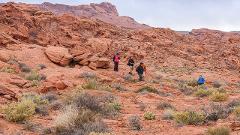 Valley of Fire & Hoover Dam Full Day Tour + Hiking Tour
