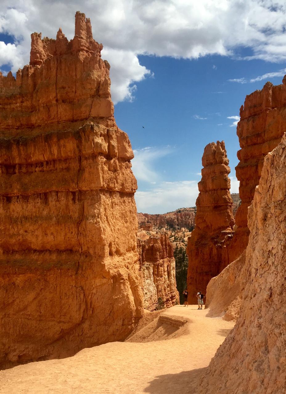 One-way Shuttle: Springdale (Zion area) to Bryce Canyon National Park, Winter Schedule