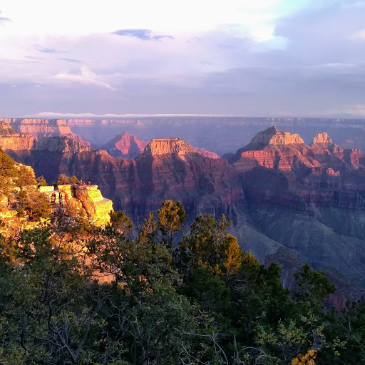 Grand Canyon to Williams Shuttle