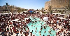 Dayclub Pool Party Bus Tours