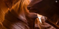 Cardiac Canyon In VR