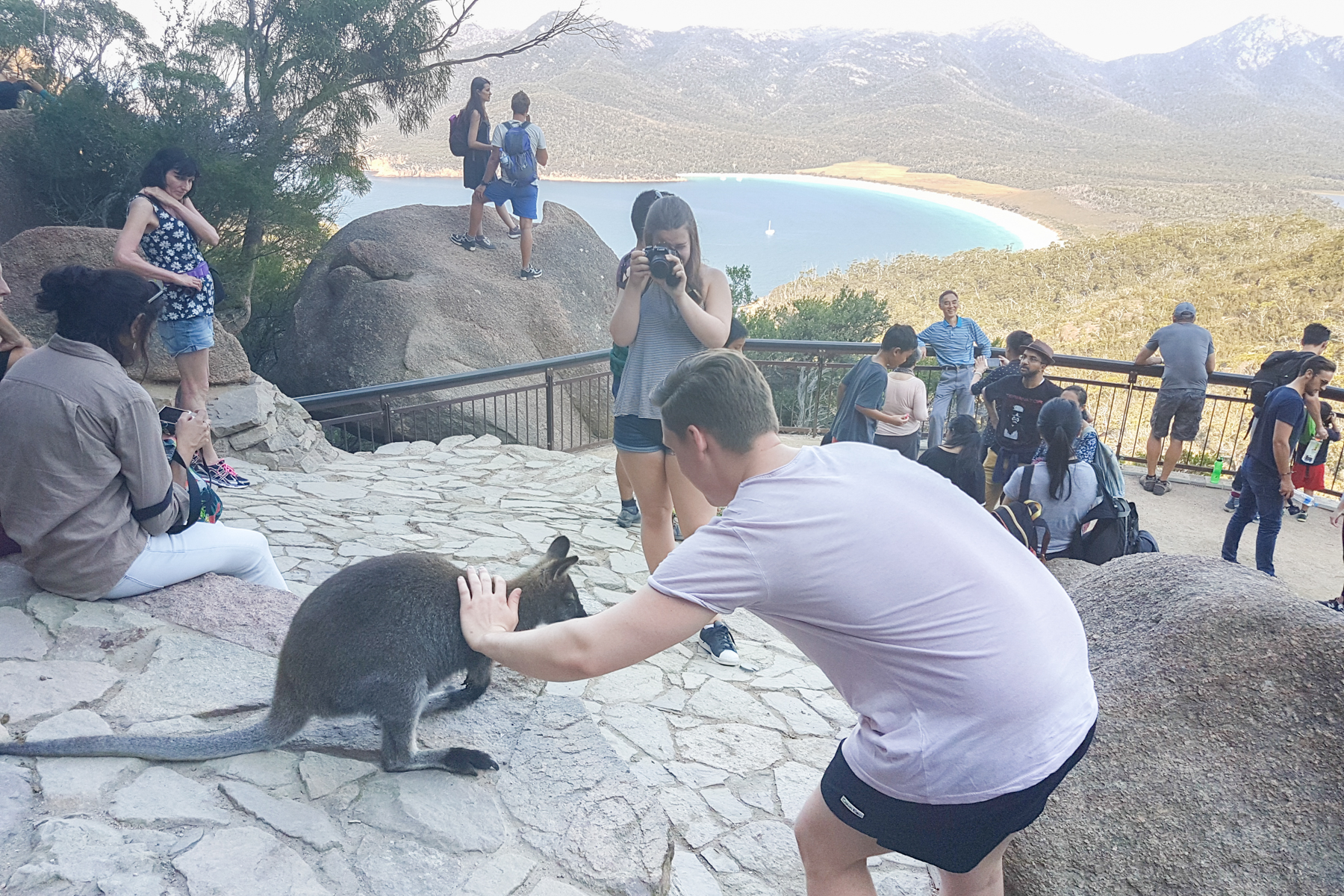 Wineglass Bay Day Tour