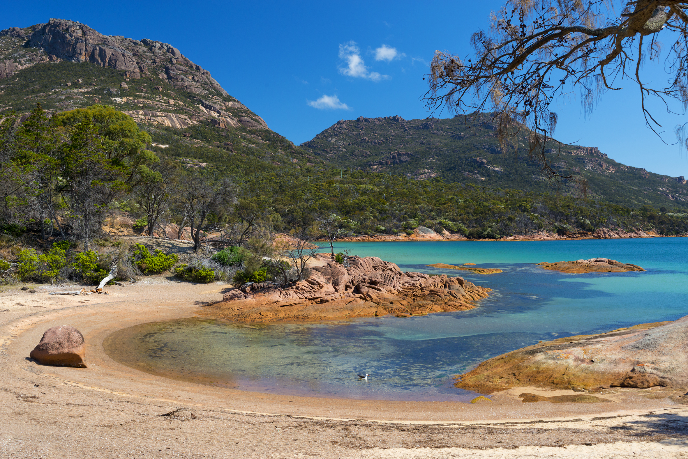 Wineglass Bay Day Tour