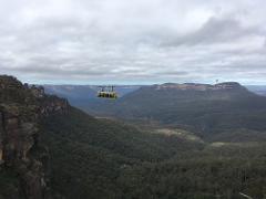 Blue Mountains Private Tour 1 - 11 People