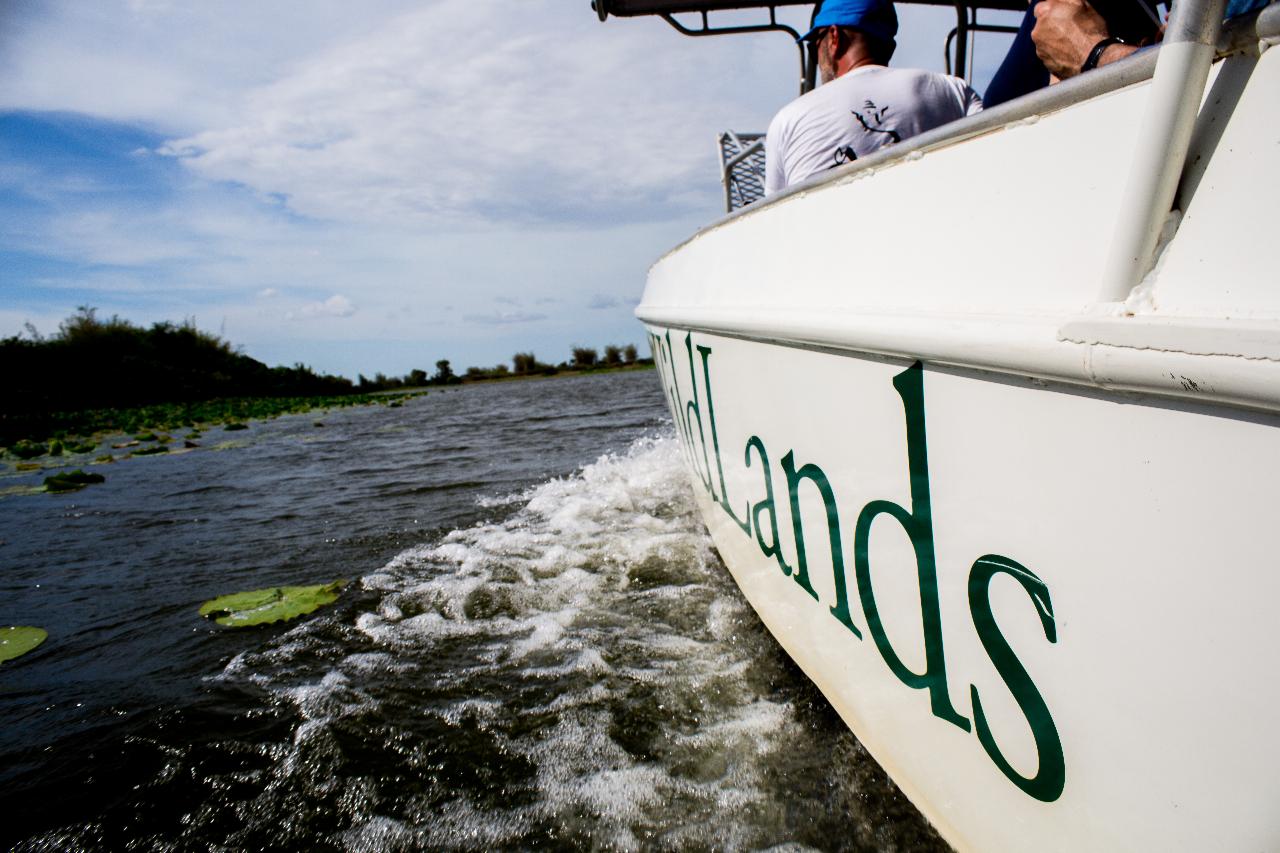Early Birders Cruise
