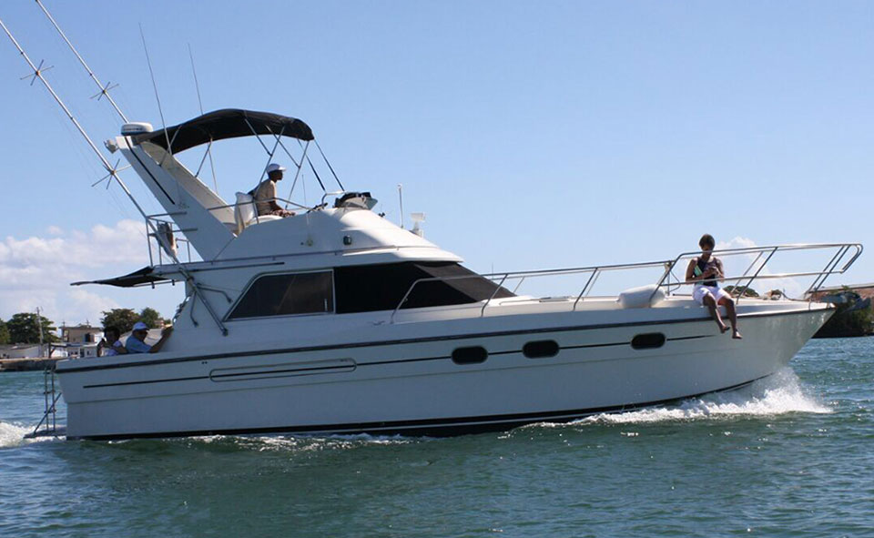 PRIVATE CHARTER - Jus Chillin 35ft Princess Yacht EVENING CHARTER (4 hours between 6pm - 1am)