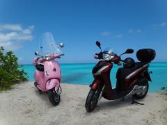 Segs Scooter Rental - Hourly