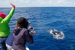 Bremer Canyon Killer Whale Expedition - 3 Day Pass