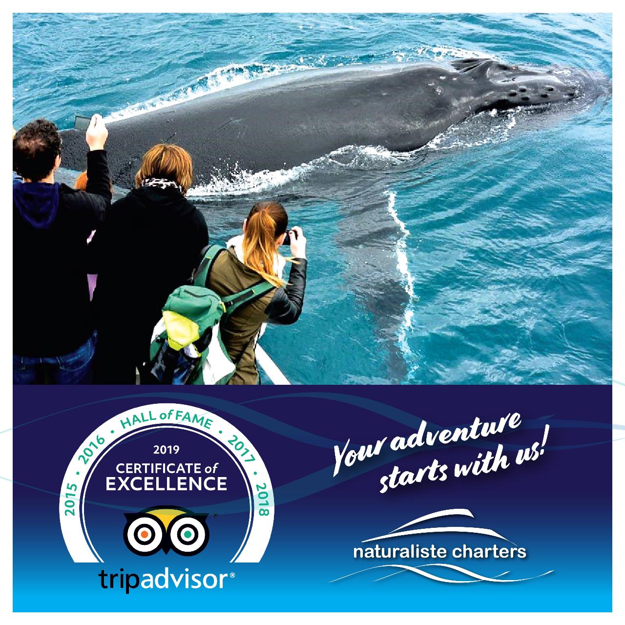 Dunsborough Whale Watching Eco Tours