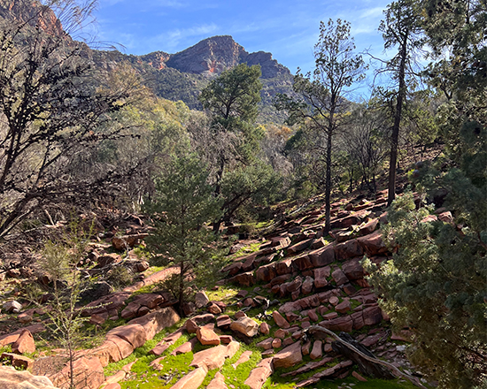 Akur­ra Adnya (Arka­roo Rock) - Adnyamathanha Rock Art Cultural Walk