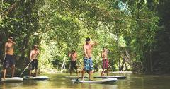 Stand-Up Paddle Boarding - Rainforest River Magic