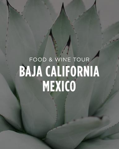 Baja California, Mexico - 4 Day Food & Wine Tour