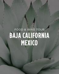 Mexico Food & Wine Tour || Mexican Wine Country